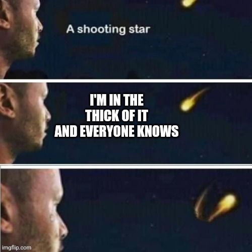 Shooting star rejected wish | I'M IN THE THICK OF IT AND EVERYONE KNOWS | image tagged in shooting star rejected wish | made w/ Imgflip meme maker