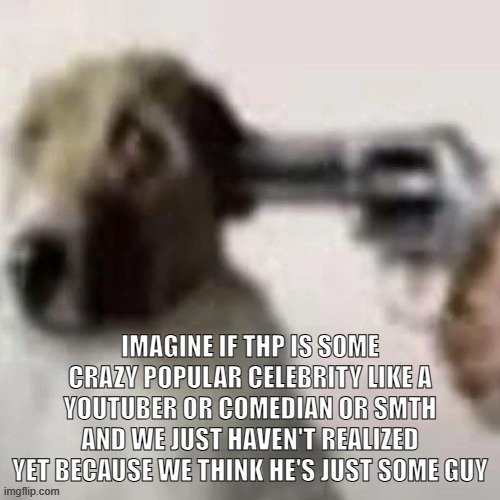 dog gunpoint | IMAGINE IF THP IS SOME CRAZY POPULAR CELEBRITY LIKE A YOUTUBER OR COMEDIAN OR SMTH AND WE JUST HAVEN'T REALIZED YET BECAUSE WE THINK HE'S JUST SOME GUY | image tagged in dog gunpoint | made w/ Imgflip meme maker