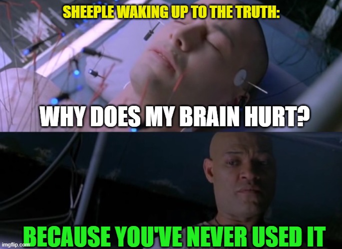 Matrix eyes hurt | SHEEPLE WAKING UP TO THE TRUTH:; WHY DOES MY BRAIN HURT? BECAUSE YOU'VE NEVER USED IT | image tagged in matrix eyes hurt | made w/ Imgflip meme maker