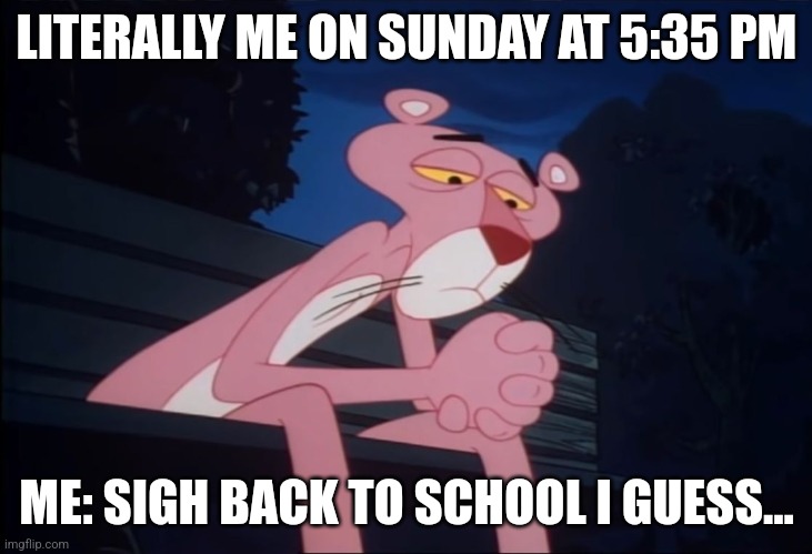 Going back to school after a fun weekend | LITERALLY ME ON SUNDAY AT 5:35 PM; ME: SIGH BACK TO SCHOOL I GUESS... | image tagged in sad pink panther | made w/ Imgflip meme maker