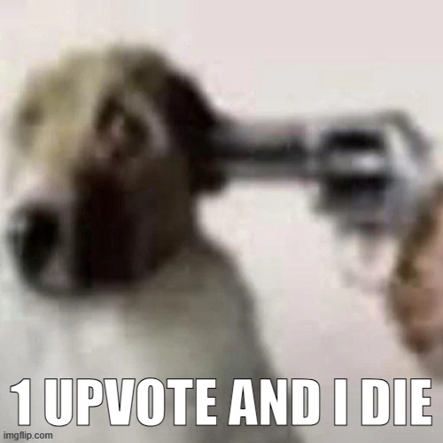 dog gunpoint | 1 UPVOTE AND I DIE | image tagged in dog gunpoint | made w/ Imgflip meme maker