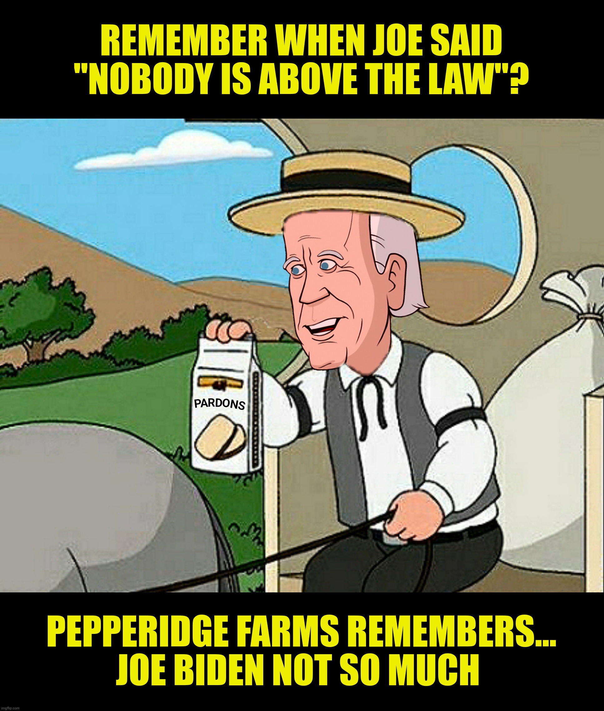 Bad Photoshop Sunday presents:  Nobody is above the law...except Hunter, Jim, Liz, Adam, Anthony... | REMEMBER WHEN JOE SAID "NOBODY IS ABOVE THE LAW"? PEPPERIDGE FARMS REMEMBERS...
JOE BIDEN NOT SO MUCH | image tagged in bad photoshop sunday,joe biden,pepperidge farms remembers,pardons,hunter biden | made w/ Imgflip meme maker