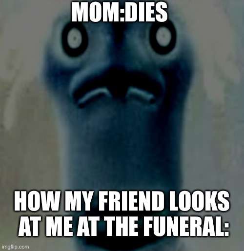 Quandale dingle | MOM:DIES; HOW MY FRIEND LOOKS  AT ME AT THE FUNERAL: | image tagged in quandale dingle | made w/ Imgflip meme maker