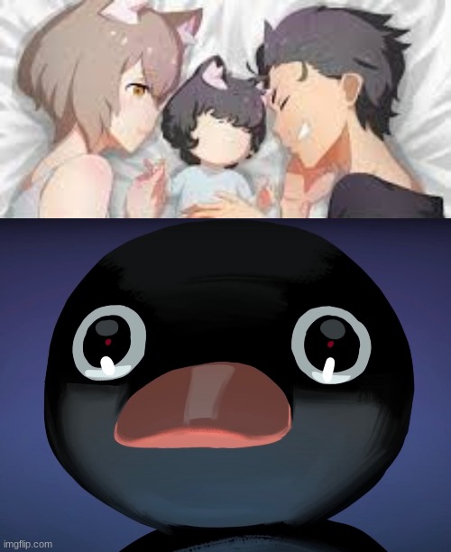 why did ts pop up on my feed | image tagged in pingu stare | made w/ Imgflip meme maker