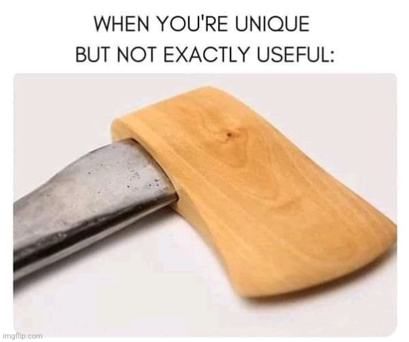 you neek | image tagged in unique,useful | made w/ Imgflip meme maker