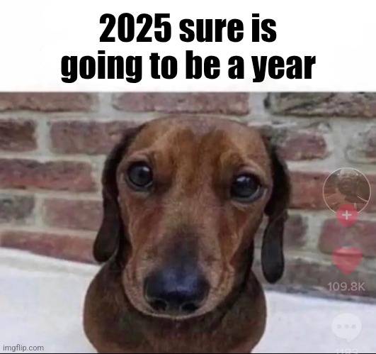 this nimrod so neuro-impaired | 2025 sure is going to be a year | image tagged in this nimrod so neuro-impaired | made w/ Imgflip meme maker