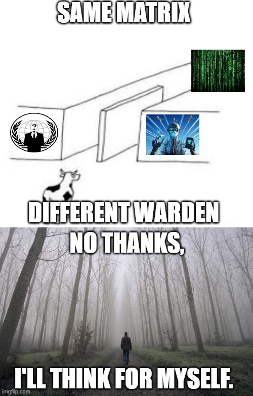 SAME MATRIX; DIFFERENT WARDEN; NO THANKS, I'LL THINK FOR MYSELF. | image tagged in two paths same destiny,walk away | made w/ Imgflip meme maker