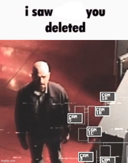 i saw what you deleted | image tagged in i saw what you deleted | made w/ Imgflip meme maker