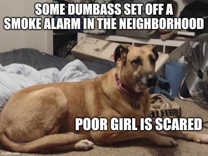 SOME DUMBASS SET OFF A SMOKE ALARM IN THE NEIGHBORHOOD; POOR GIRL IS SCARED | made w/ Imgflip meme maker