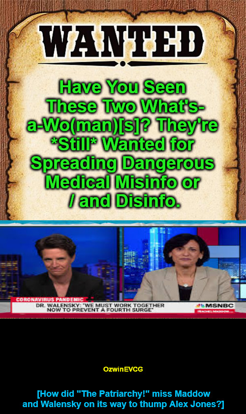 [HD AJ] | Have You Seen 

These Two What's-

a-Wo(man)[s]? They're 

*Still* Wanted for 

Spreading Dangerous 

Medical Misinfo or 

/ and Disinfo. OzwinEVCG; [How did "The Patriarchy!" miss Maddow and Walensky on its way to thump Alex Jones?] | image tagged in rachel maddow,rochelle walensky,liberal hypocrisy,government corruption,msm lies,no covid amnesty | made w/ Imgflip meme maker