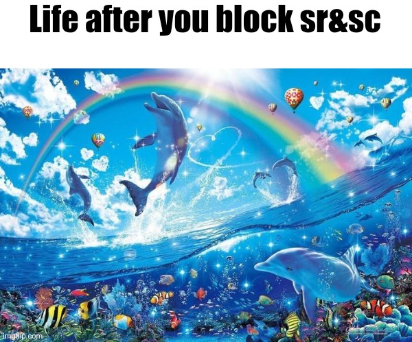 Happy dolphin rainbow | Life after you block sr&sc | image tagged in happy dolphin rainbow | made w/ Imgflip meme maker