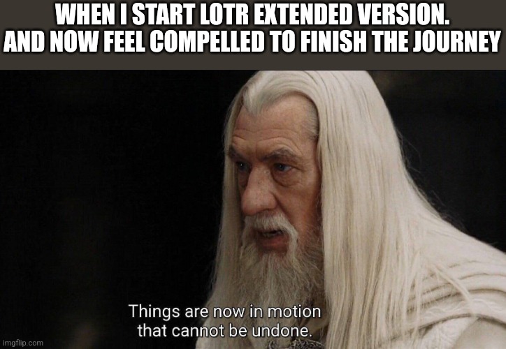 WHEN I START LOTR EXTENDED VERSION. AND NOW FEEL COMPELLED TO FINISH THE JOURNEY | image tagged in gandalf,lotr,fun | made w/ Imgflip meme maker