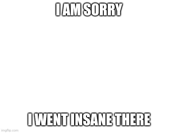 I AM SORRY; I WENT INSANE THERE | made w/ Imgflip meme maker