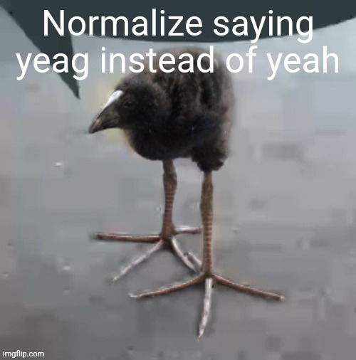 Wah wah wah wah wah wah wah wah | Normalize saying yeag instead of yeah | image tagged in wah wah wah wah wah wah wah wah | made w/ Imgflip meme maker