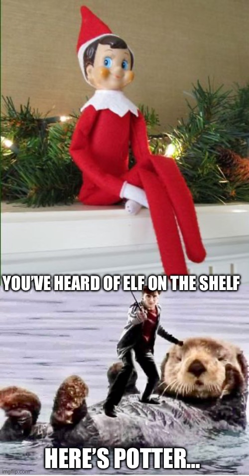 Elf on the shelf | YOU’VE HEARD OF ELF ON THE SHELF; HERE’S POTTER… | image tagged in elf on a shelf,harry potter,otter | made w/ Imgflip meme maker