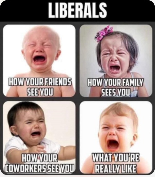 How Everyone Sees Liberals | image tagged in how everyone sees liberals | made w/ Imgflip meme maker