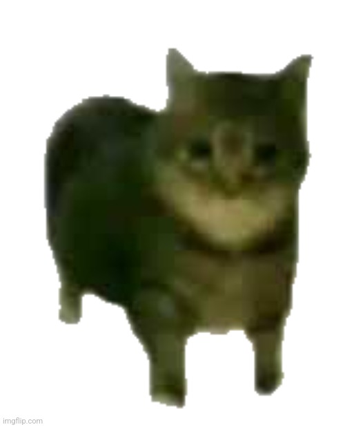 oiiaoiia | image tagged in oiiaoiia | made w/ Imgflip meme maker