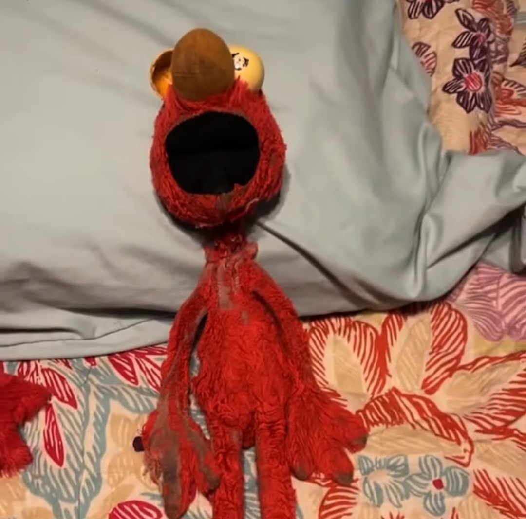 Please Put Him Out Of His Misery Elmo. Blank Meme Template