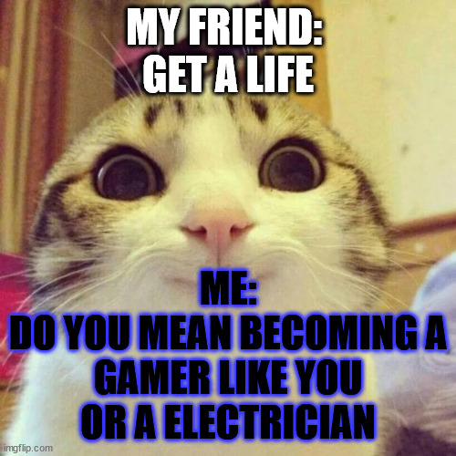 Smiling Cat | MY FRIEND: 
GET A LIFE; ME:
DO YOU MEAN BECOMING A GAMER LIKE YOU OR A ELECTRICIAN | image tagged in memes,smiling cat | made w/ Imgflip meme maker