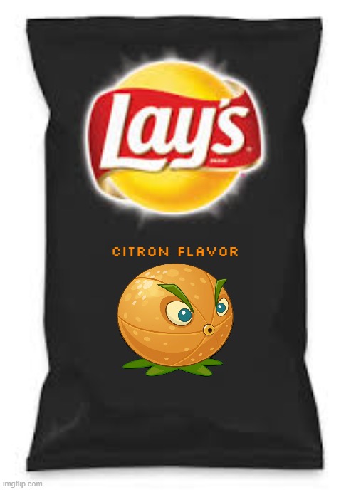 rejected lay's flavors part 13 | CITRON FLAVOR | image tagged in lays do us a flavor blank black,memes,fake,rejected | made w/ Imgflip meme maker