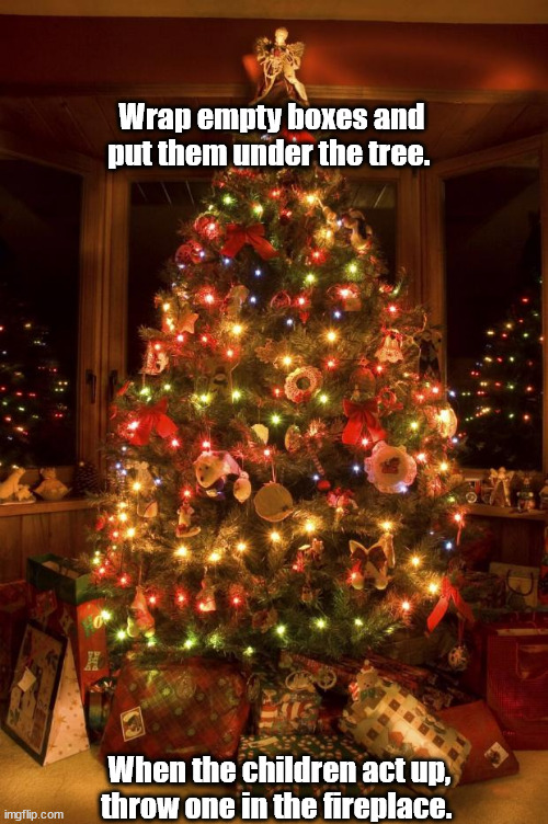 Empty boxes | Wrap empty boxes and put them under the tree. When the children act up, throw one in the fireplace. | image tagged in christmas tree,children | made w/ Imgflip meme maker