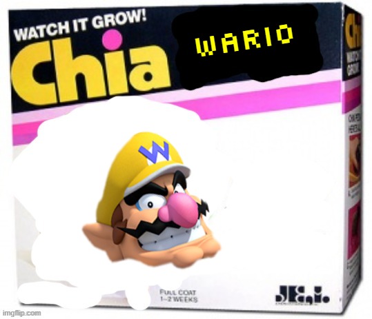 rejected chia pets volume 12 | WARIO | image tagged in chia pet blank,rejected,wario,nintendo | made w/ Imgflip meme maker