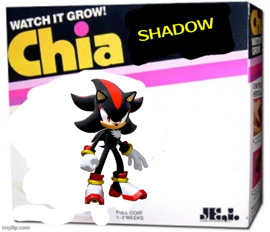 rejected chia pets volume 13 | SHADOW | image tagged in chia pet blank,shadow the hedgehog,sega,rejected,fake | made w/ Imgflip meme maker