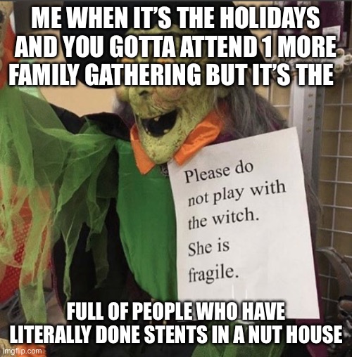 Fragile Witch | ME WHEN IT’S THE HOLIDAYS AND YOU GOTTA ATTEND 1 MORE FAMILY GATHERING BUT IT’S THE; FULL OF PEOPLE WHO HAVE LITERALLY DONE STENTS IN A NUT HOUSE | image tagged in fragile witch | made w/ Imgflip meme maker