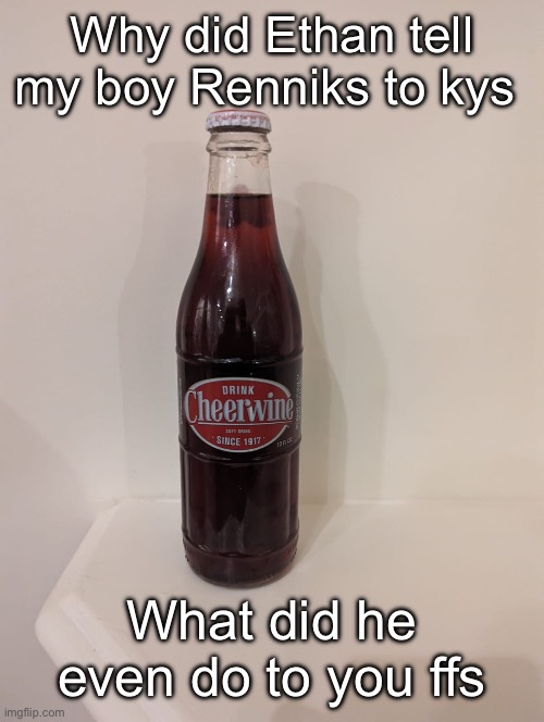 Cheerwine | Why did Ethan tell my boy Renniks to kys; What did he even do to you ffs | image tagged in cheerwine | made w/ Imgflip meme maker