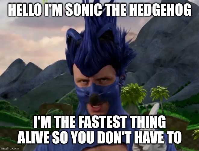 I'm Sonic the fastest thing alive so you don't have to | HELLO I'M SONIC THE HEDGEHOG; I'M THE FASTEST THING ALIVE SO YOU DON'T HAVE TO | image tagged in nc sonic | made w/ Imgflip meme maker