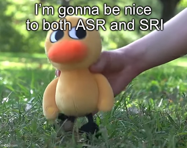 duck song plushie | I’m gonna be nice  to both ASR and SRI | image tagged in duck song plushie | made w/ Imgflip meme maker