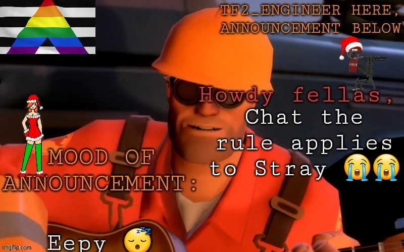 you know what rule | Chat the rule applies to Stray 😭😭; Eepy 😴 | image tagged in tf2_engineer's festivized announcement template,zoo | made w/ Imgflip meme maker