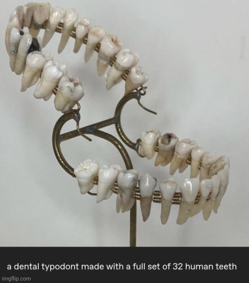 Typodont. | image tagged in teeth,dental,medical,model,interesting,mouth | made w/ Imgflip meme maker