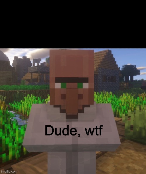 Villager Trade Offer | Dude, wtf | image tagged in villager trade offer | made w/ Imgflip meme maker