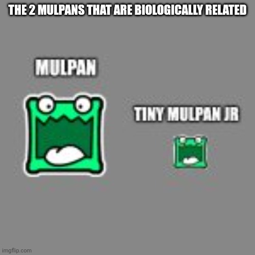 mulpan.png | THE 2 MULPANS THAT ARE BIOLOGICALLY RELATED | image tagged in mulpan and tiny mulpan | made w/ Imgflip meme maker