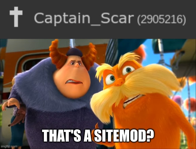 am I slow | THAT'S A SITEMOD? | image tagged in lorax that's a woman | made w/ Imgflip meme maker