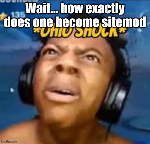 Ohio shock | Wait... how exactly does one become sitemod | image tagged in ohio shock | made w/ Imgflip meme maker