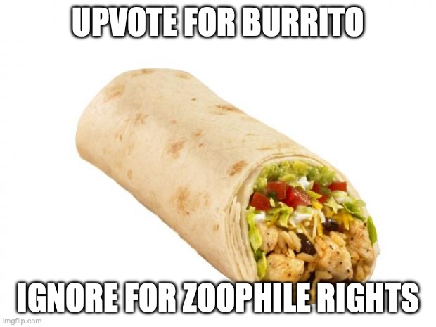 burrito | UPVOTE FOR BURRITO IGNORE FOR ZOOPHILE RIGHTS | image tagged in burrito | made w/ Imgflip meme maker