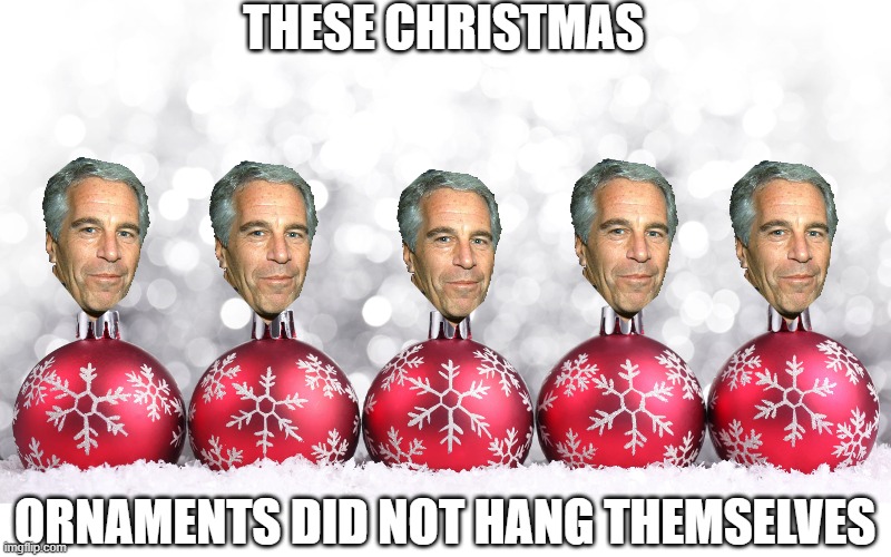 LOL!!! | THESE CHRISTMAS; ORNAMENTS DID NOT HANG THEMSELVES | image tagged in christmas ornaments in sanow,jeffrey epstein,christmas,lol | made w/ Imgflip meme maker