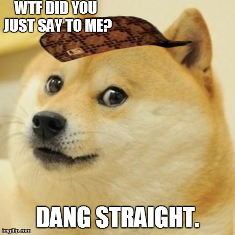 wtf did you just say to me? | WTF DID YOU JUST SAY TO ME? DANG STRAIGHT. | image tagged in memes,doge,scumbag | made w/ Imgflip meme maker