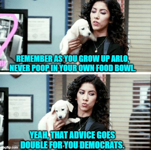 Sage advice; but unfortunately, only Arlo will take heed. | REMEMBER AS YOU GROW UP ARLO, NEVER POOP IN YOUR OWN FOOD BOWL. YEAH, THAT ADVICE GOES DOUBLE FOR YOU DEMOCRATS. | image tagged in i've only had arlo for a day and a half | made w/ Imgflip meme maker