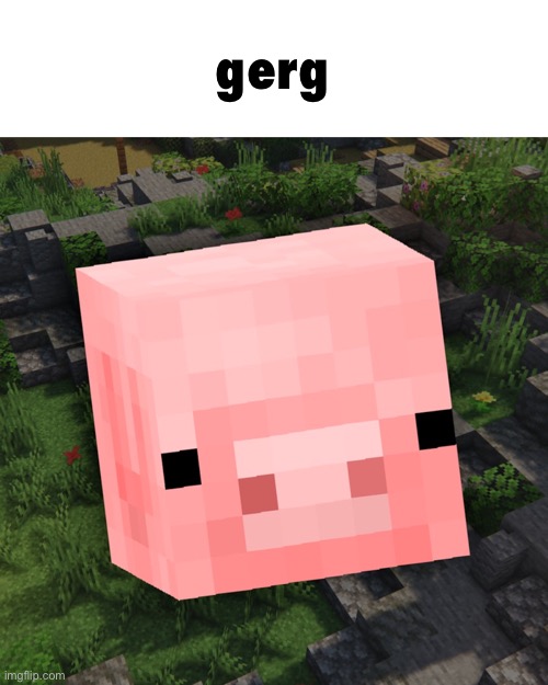 gerg | made w/ Imgflip meme maker