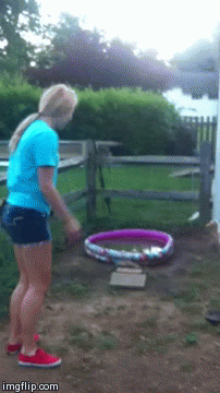 taylorduck | image tagged in gifs | made w/ Imgflip video-to-gif maker