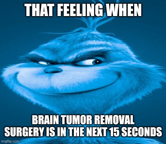 Blue Grinch | THAT FEELING WHEN; BRAIN TUMOR REMOVAL SURGERY IS IN THE NEXT 15 SECONDS | image tagged in blue grinch | made w/ Imgflip meme maker