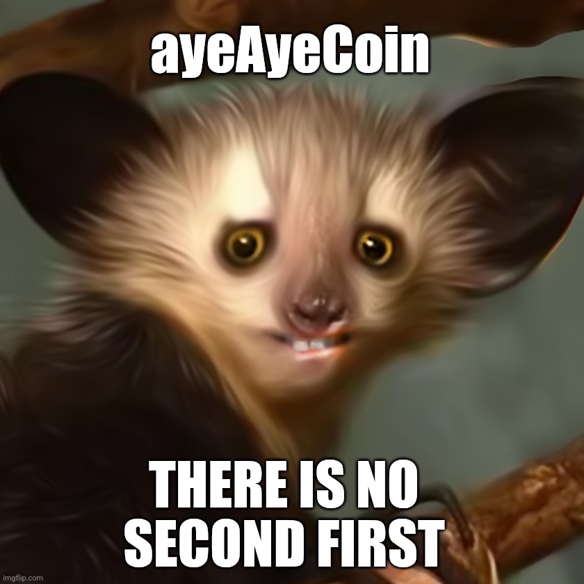 ayeAyeCoin | ayeAyeCoin; THERE IS NO SECOND FIRST | image tagged in memes,memecoin,lemur,madagascar,ftw | made w/ Imgflip meme maker