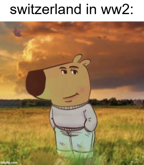 literally | switzerland in ww2: | image tagged in chill guy | made w/ Imgflip meme maker