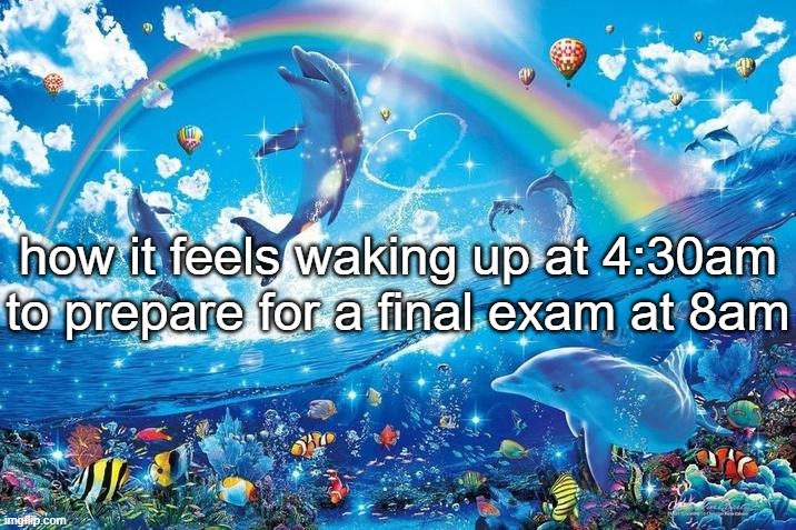 Happy dolphin rainbow | how it feels waking up at 4:30am to prepare for a final exam at 8am | image tagged in happy dolphin rainbow | made w/ Imgflip meme maker