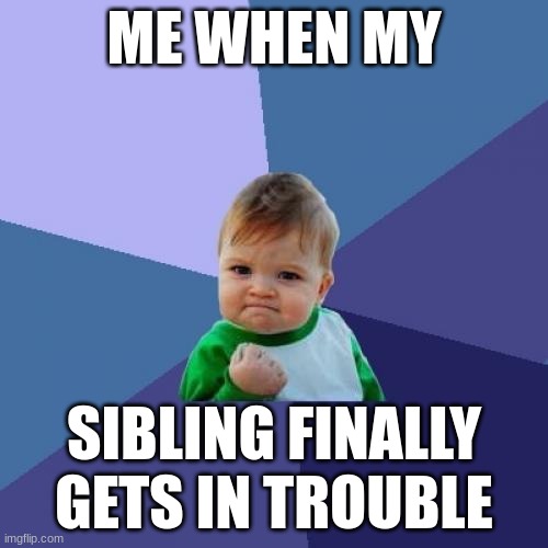 siblings getting in trouble | ME WHEN MY; SIBLING FINALLY GETS IN TROUBLE | image tagged in memes,success kid | made w/ Imgflip meme maker