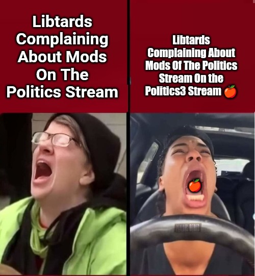 Libtards Complaining About Mods On The Politics Stream | Libtards Complaining About Mods Of The Politics Stream On the Politics3 Stream 🍎; Libtards Complaining About Mods On The Politics Stream; 🍎 | made w/ Imgflip meme maker