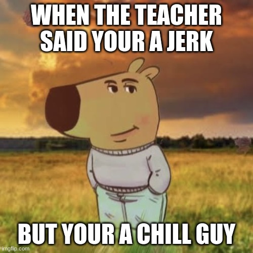 chill guy | WHEN THE TEACHER SAID YOUR A JERK; BUT YOUR A CHILL GUY | image tagged in chill guy | made w/ Imgflip meme maker